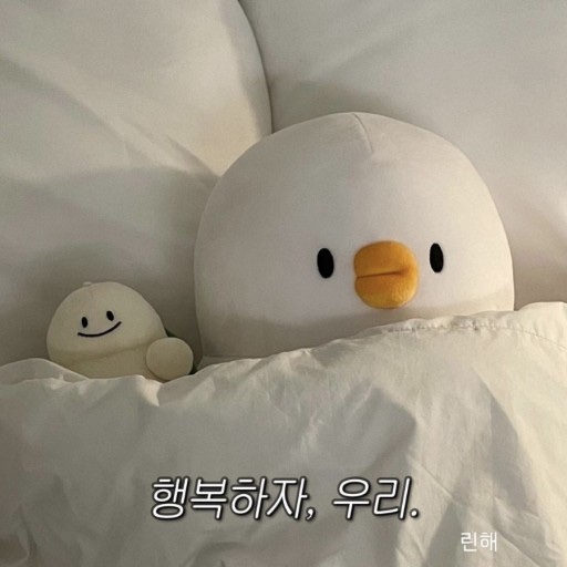 더오리 이미지