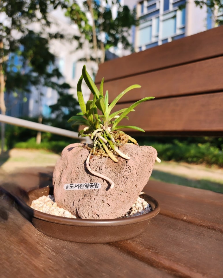 도서관옆공방 이미지