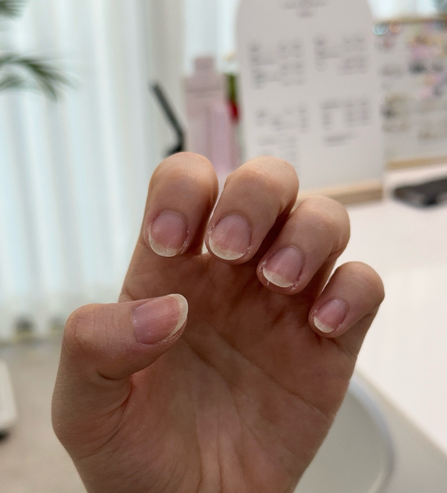 naillee 이미지