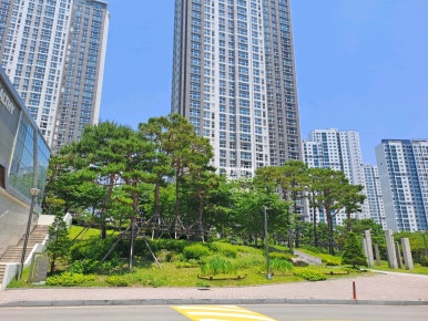 대연혁신리더어린이집 이미지