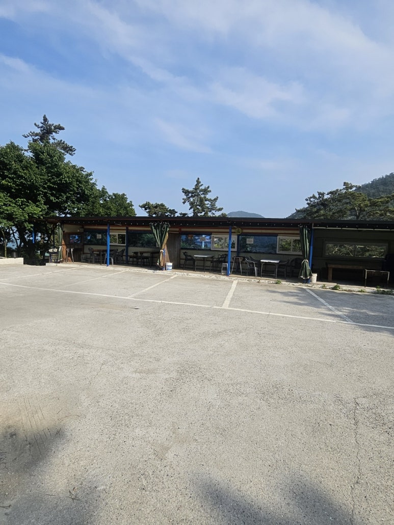 천사바다블라썸 이미지