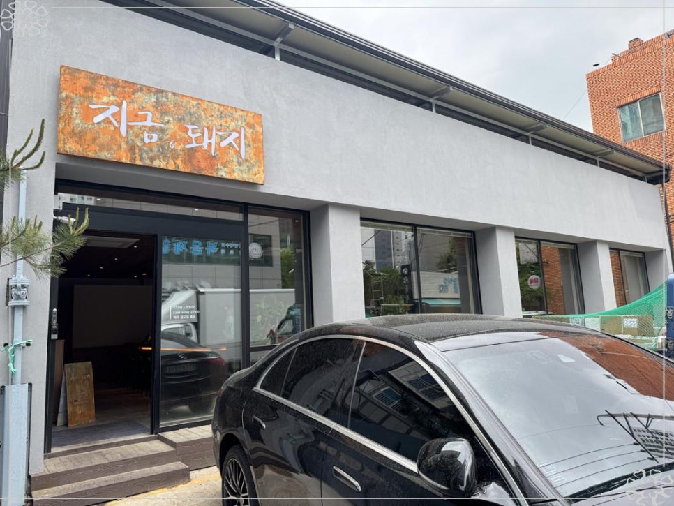지금,돼지 이미지