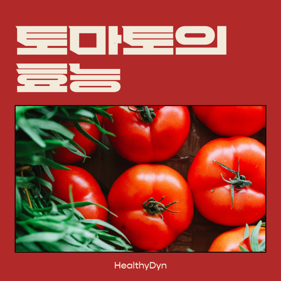 다인리코 이미지