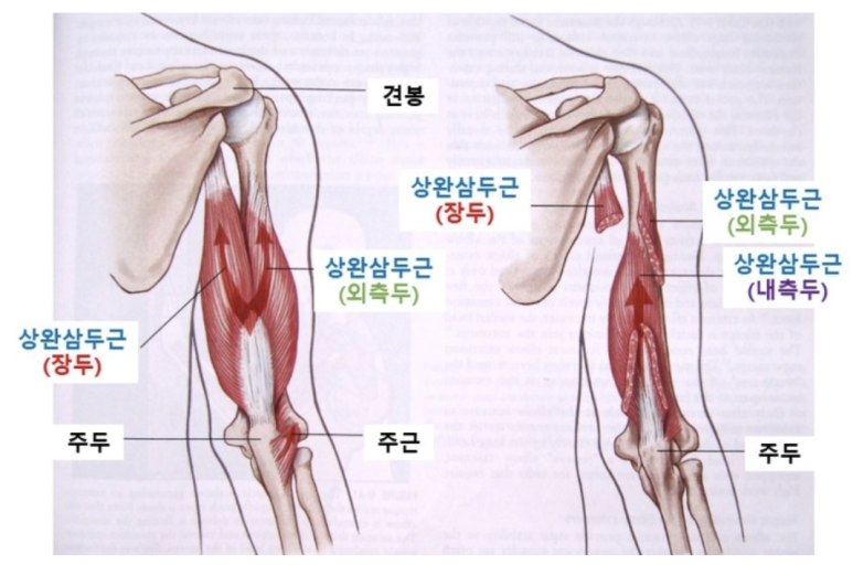 져스트짐 이미지