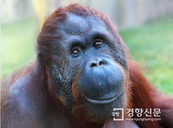 아트모이지 이미지