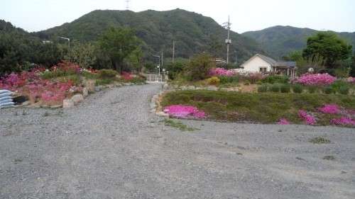 들꽃여울캠핑장 이미지