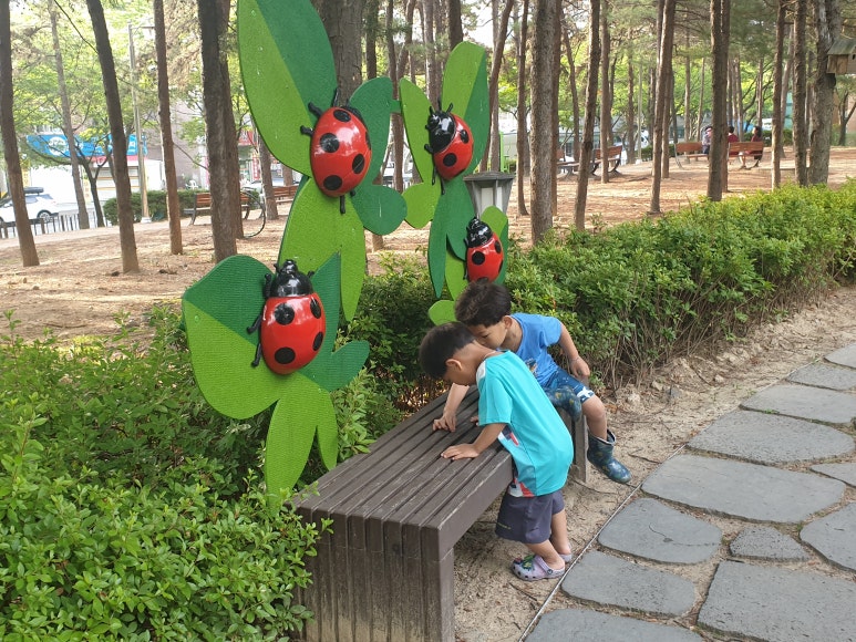 동심김밥 이미지