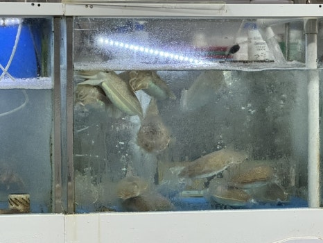 사) 동부시장 이미지