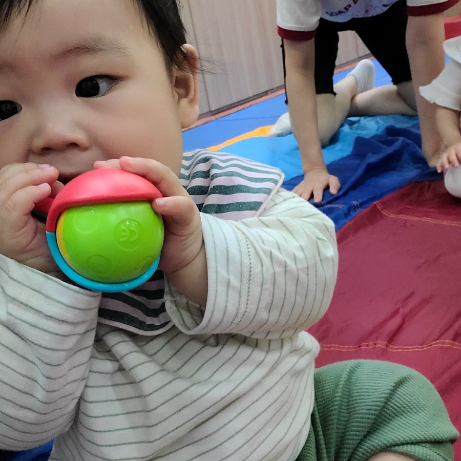 노원짐보리 이미지