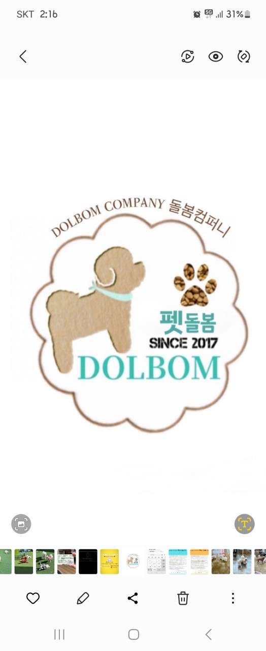 펫돌봄애견카페 이미지