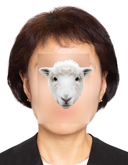 시안사진관 강남점 이미지