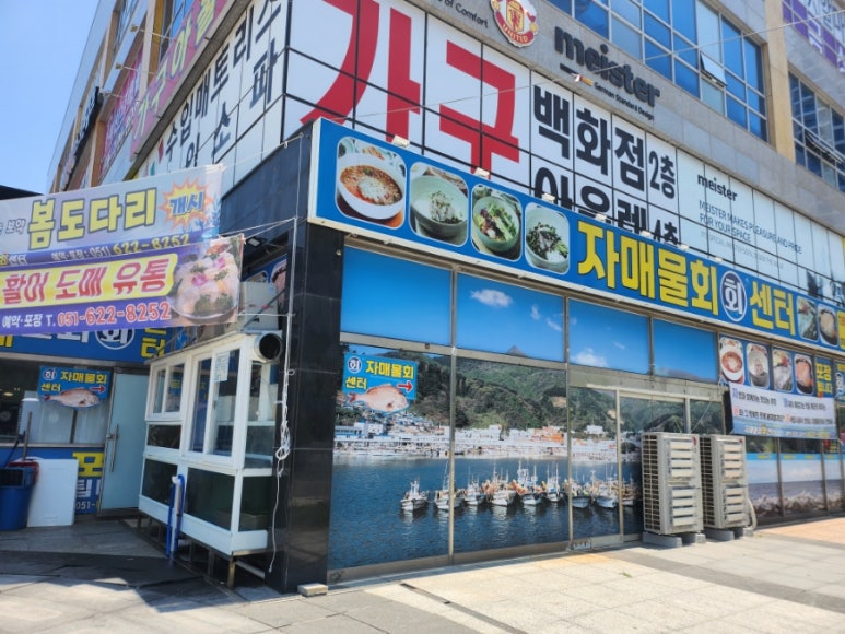 자매물회 이미지