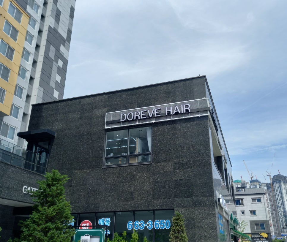 도레브헤어 이미지