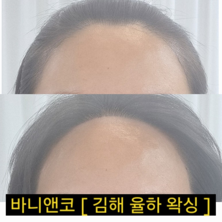 바니앤코 이미지