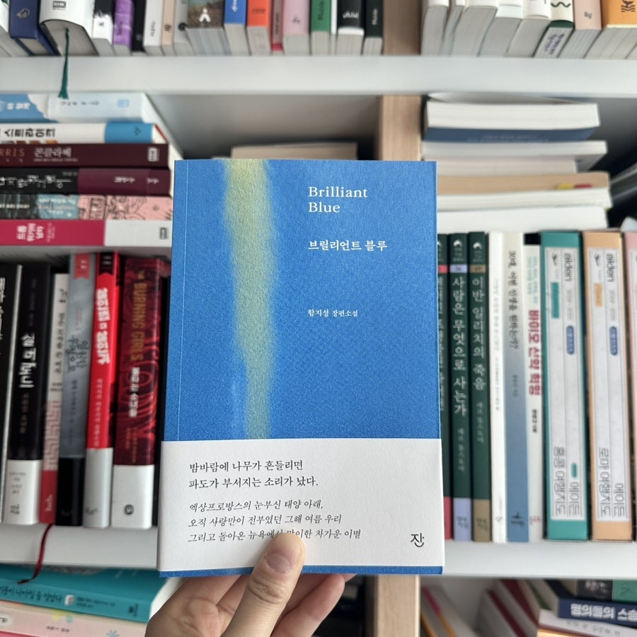 함지성 이미지