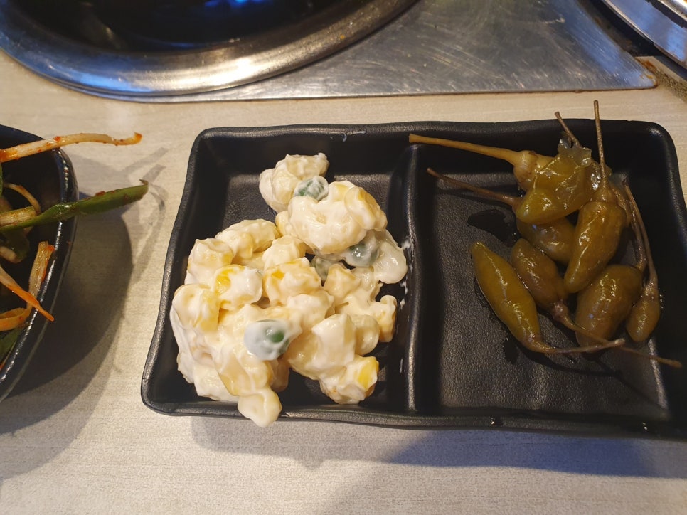 돼지대학교 이미지