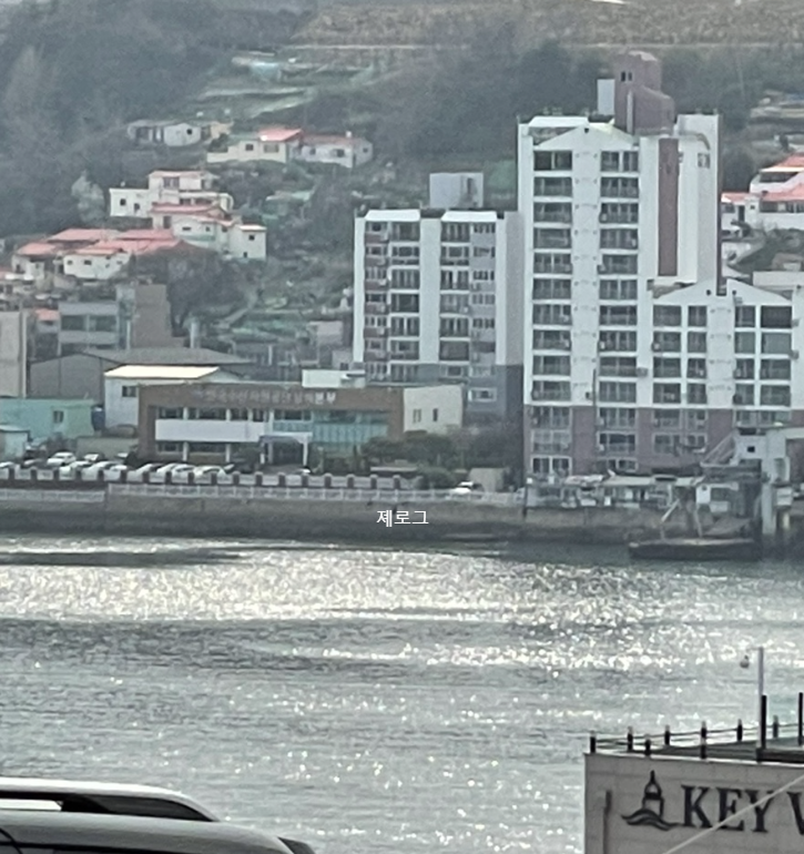 벌스데이베이글 이미지