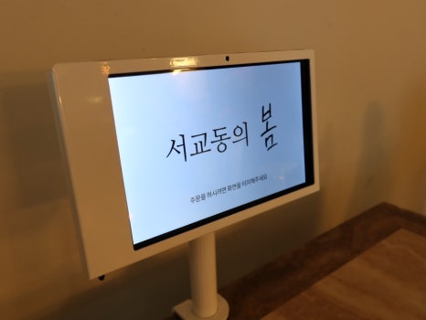 서교동의봄 이미지