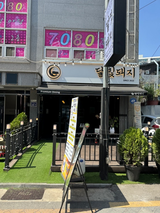 달빛돼지 이미지