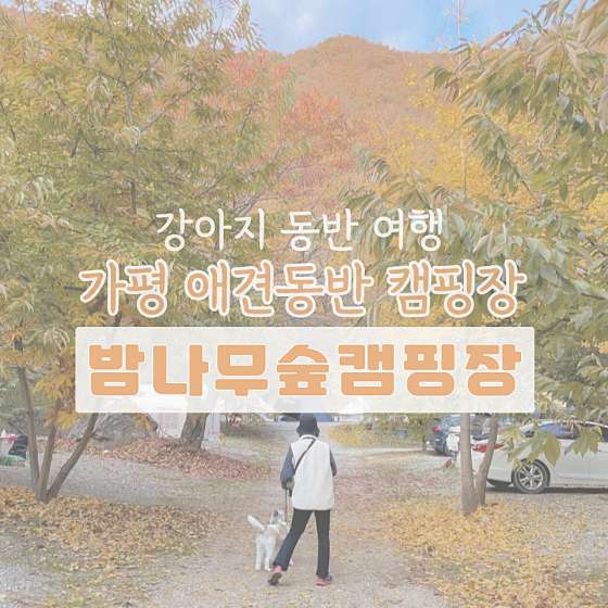 가평밤나무숲캠핑장 이미지