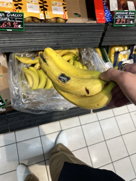 이태리꽃상점 이미지