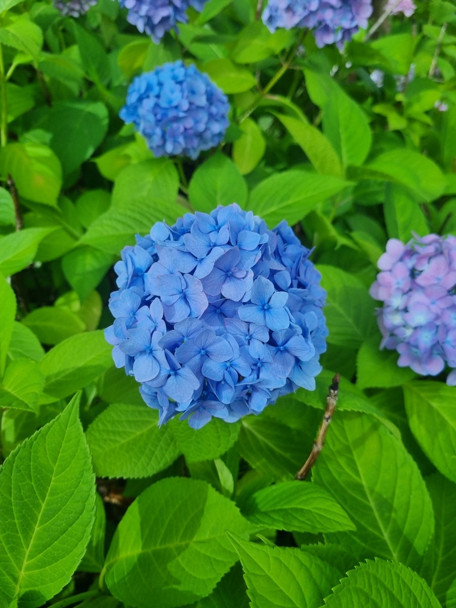 한누리요양보호사교육원 이미지