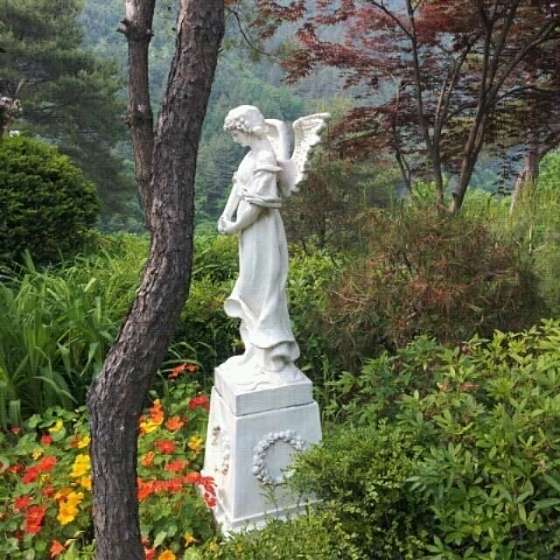 평창리버힐 이미지