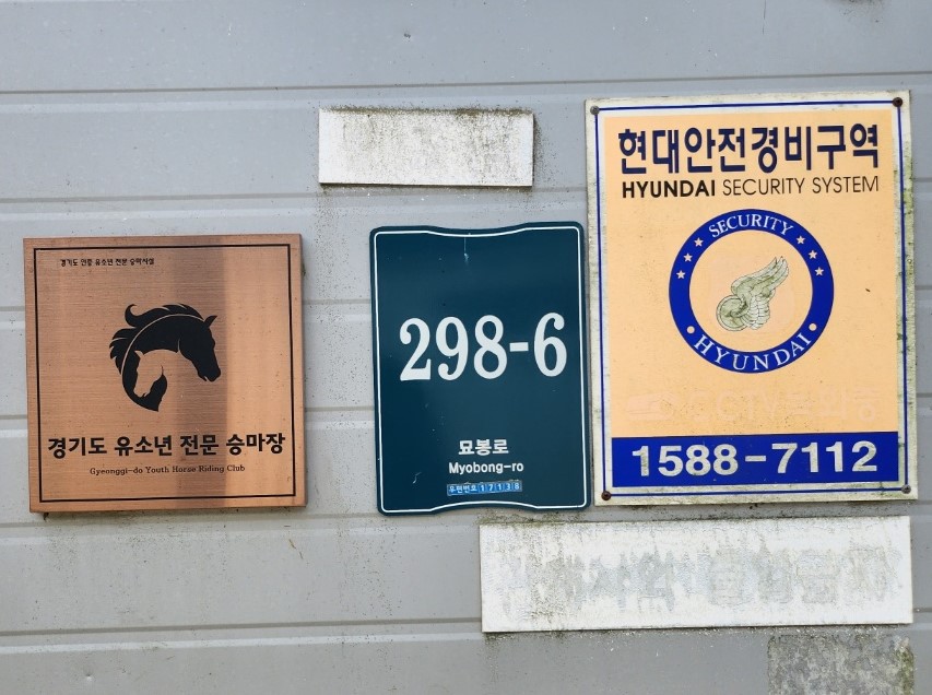 용인홀스트래킹 이미지