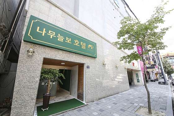 나무늘보호텔 이미지