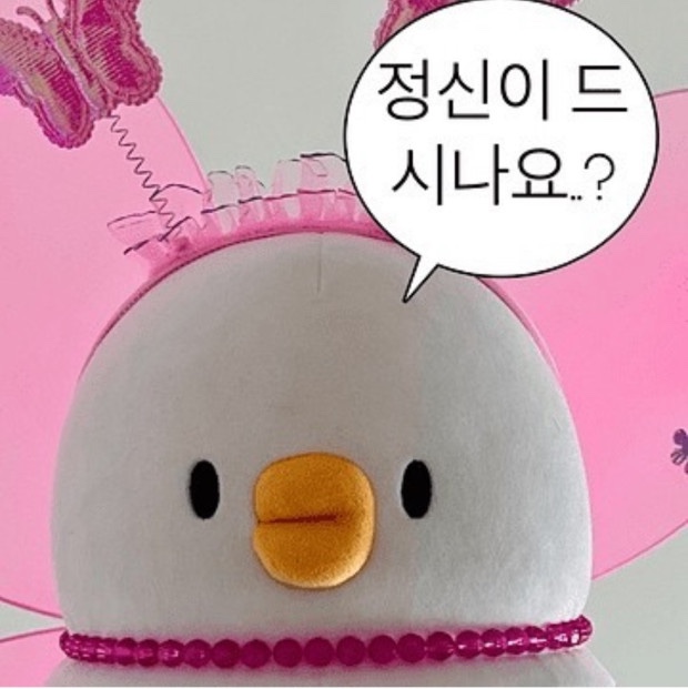 더오리 이미지