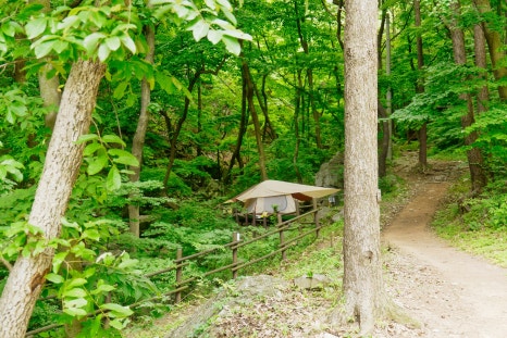국립오서산자연휴양림 이미지