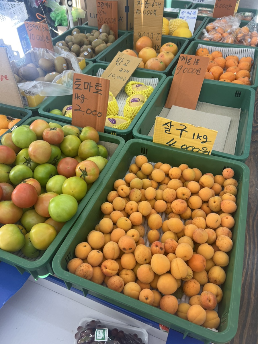 소소림 이미지