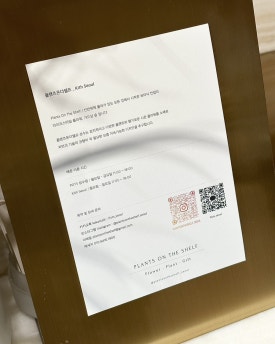 사델스 서울 이미지