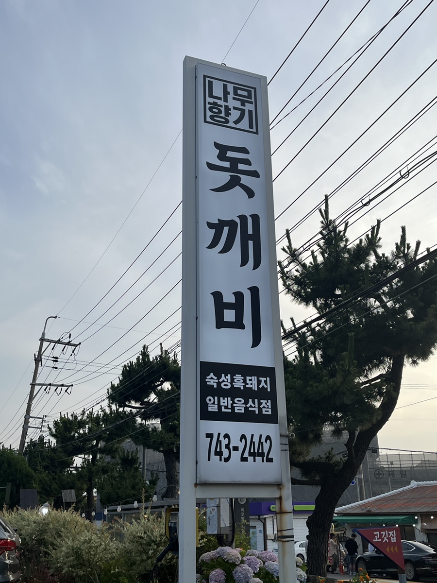 돗깨비 이미지