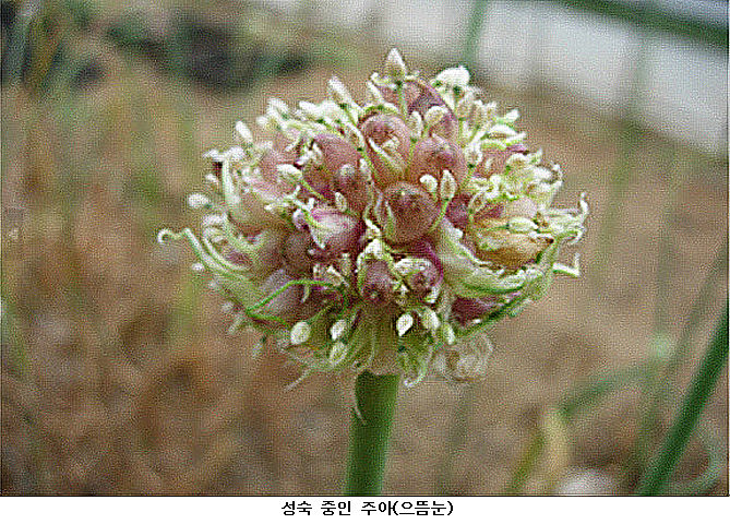 (주)으뜸정보기술 이미지
