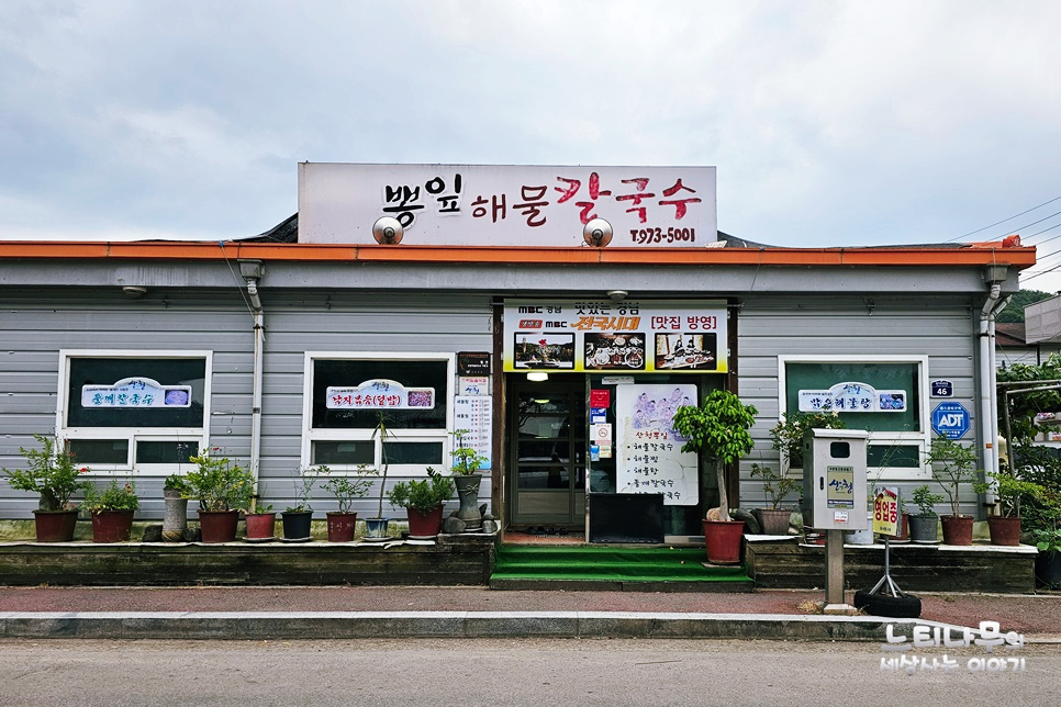 산청뽕잎해물칼국수 이미지