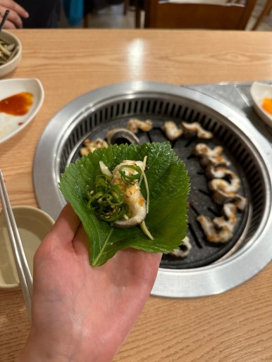 노형바다장어 이미지