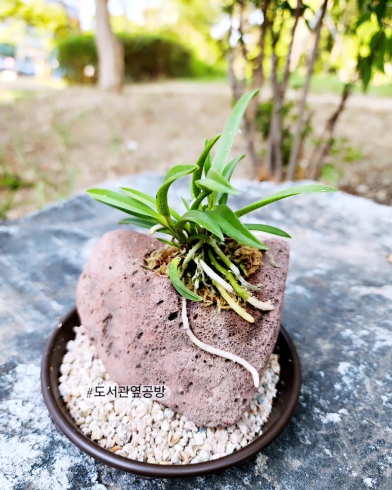 도서관옆공방 이미지