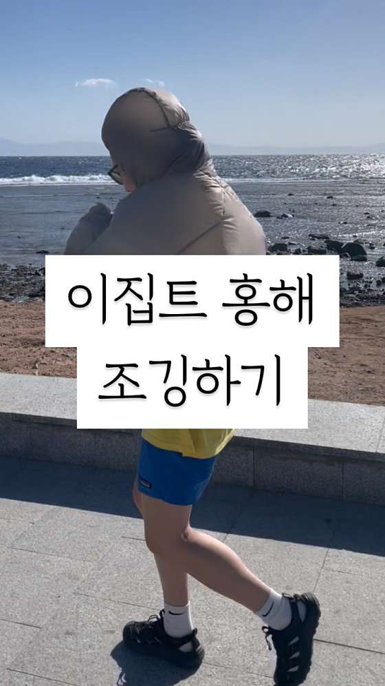이집트경양식 이미지