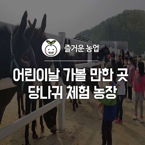 동키 이미지
