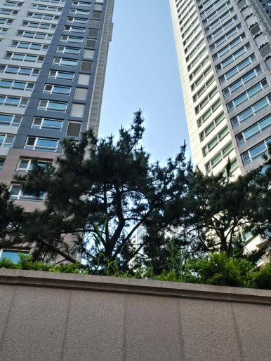 용문스터디카페 이미지