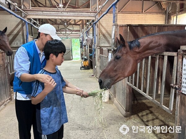 천안시승마협회 이미지