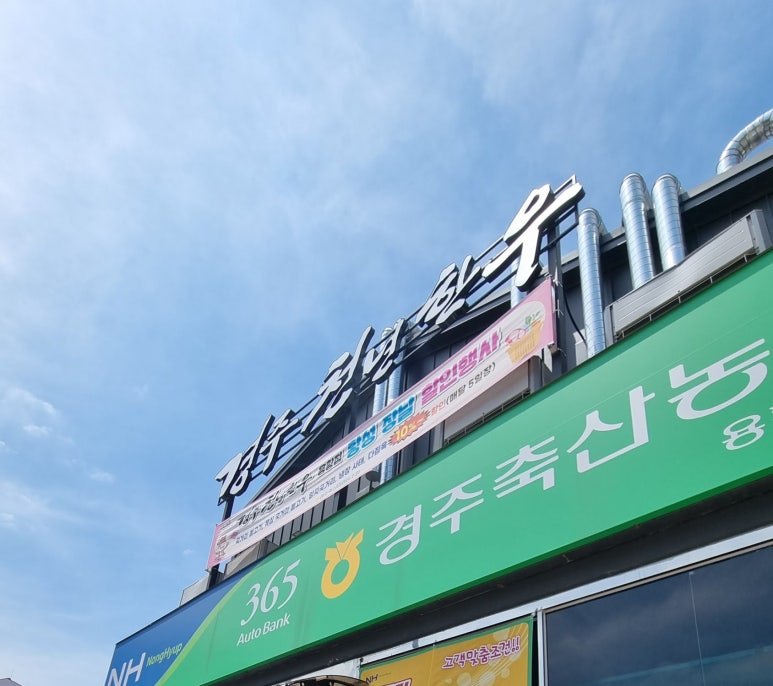 경주천년한우용황점 이미지