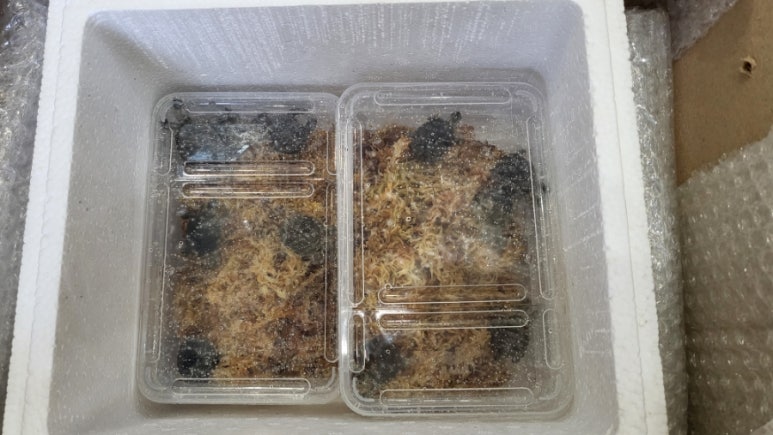 (주)아이더블유 이미지
