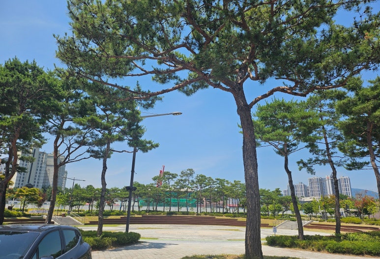 꿀꿀이네생삼겹살 이미지