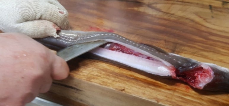 통영장어구이 이미지