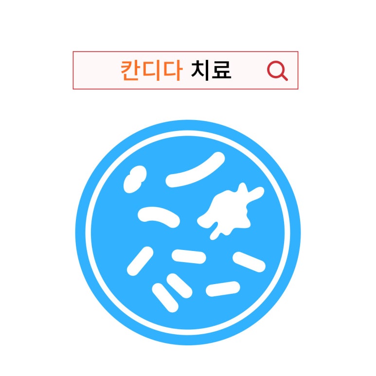 프루플로 이미지