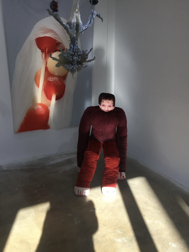 웩사 이미지