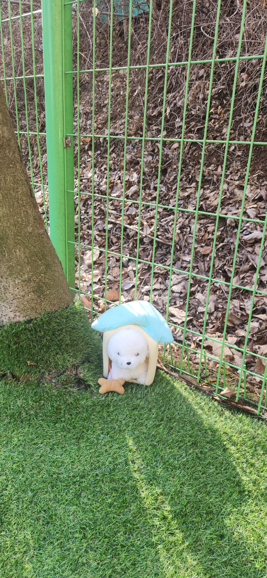 화담족발 이미지