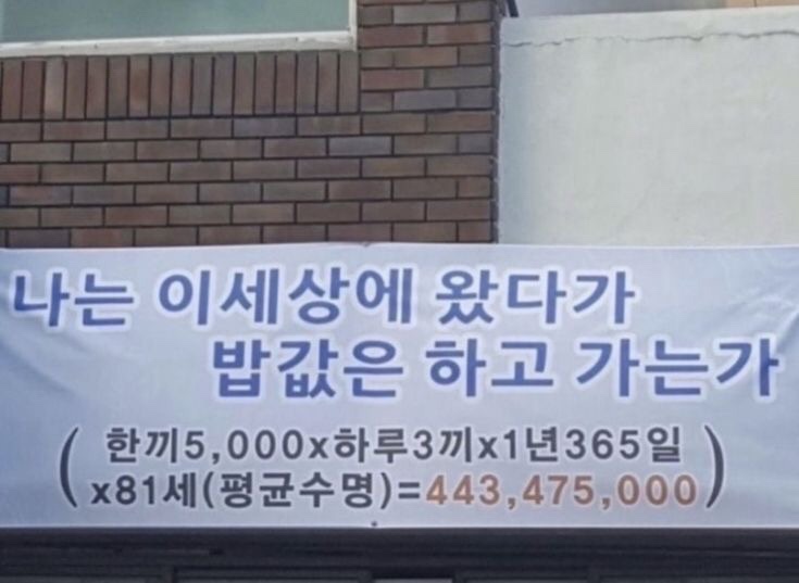 유하당 이미지